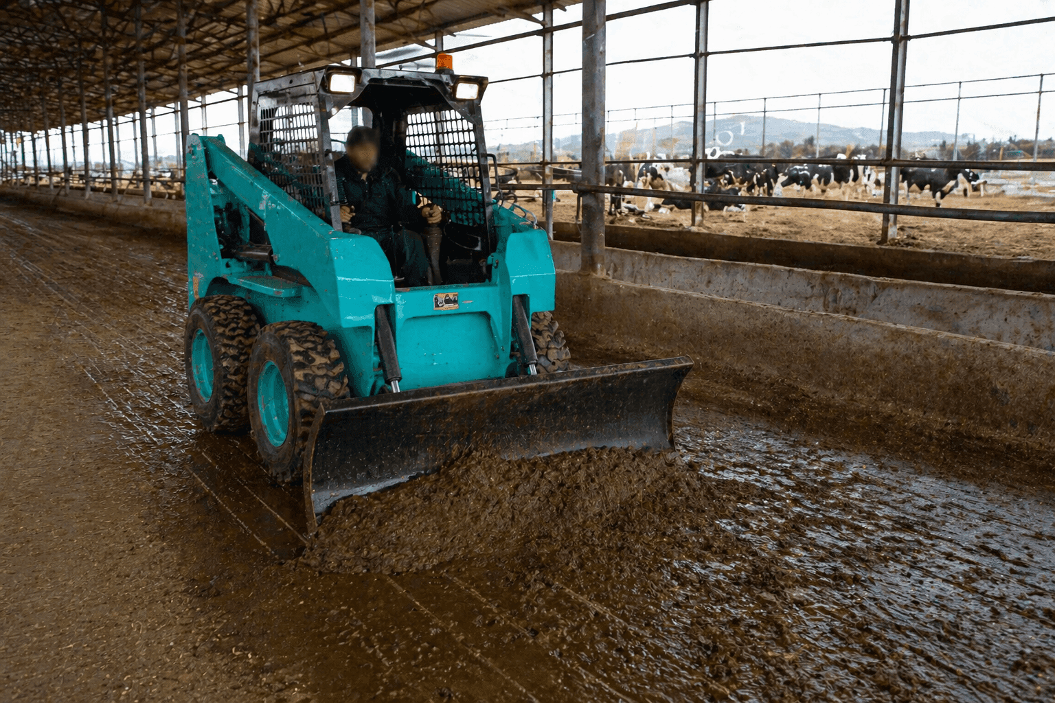 Dozer Blade - 4